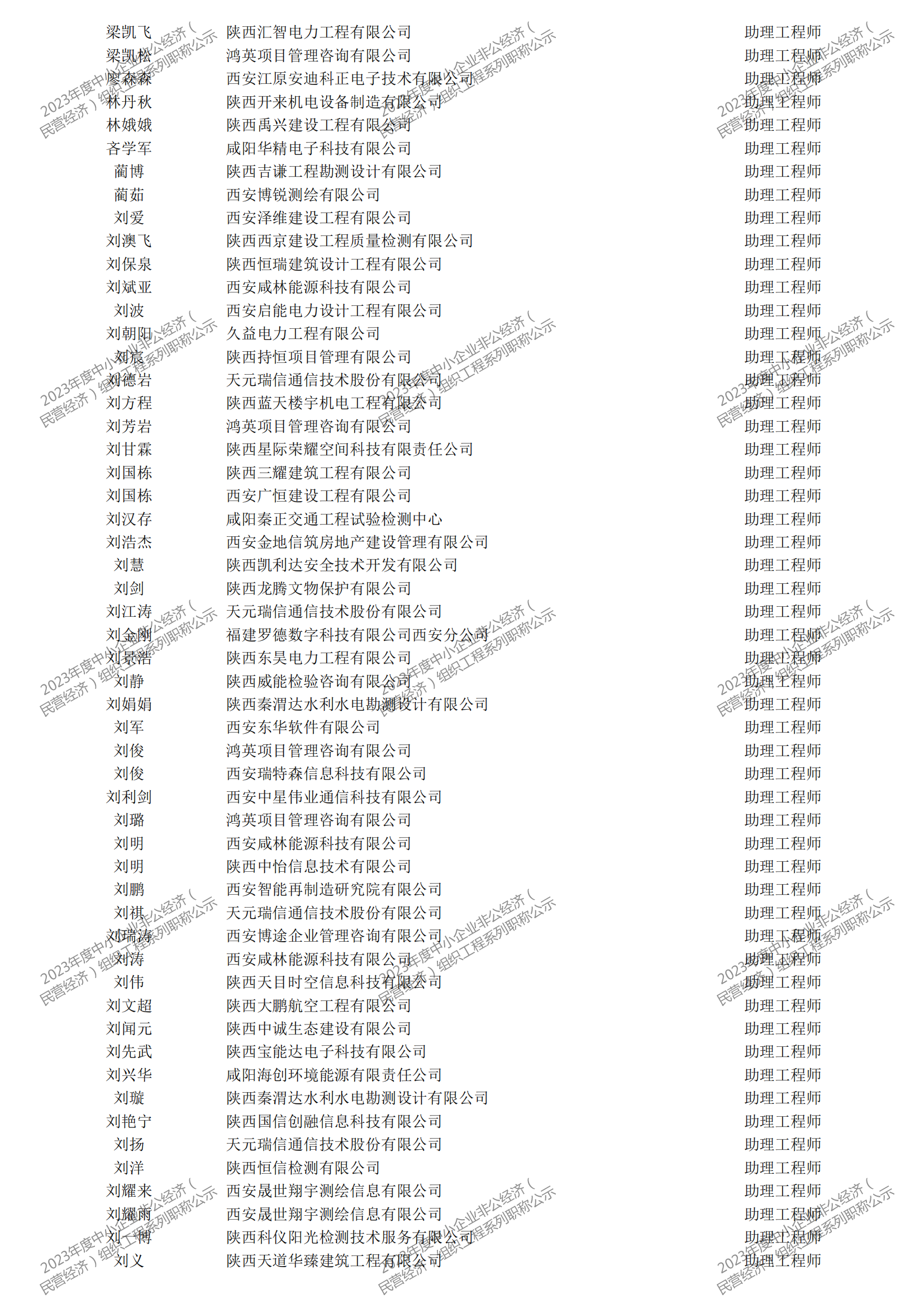 2023年度中小企業(yè)非公經(jīng)濟(jì)（民營經(jīng)濟(jì)）組織工程系列職稱評審公示_26.png