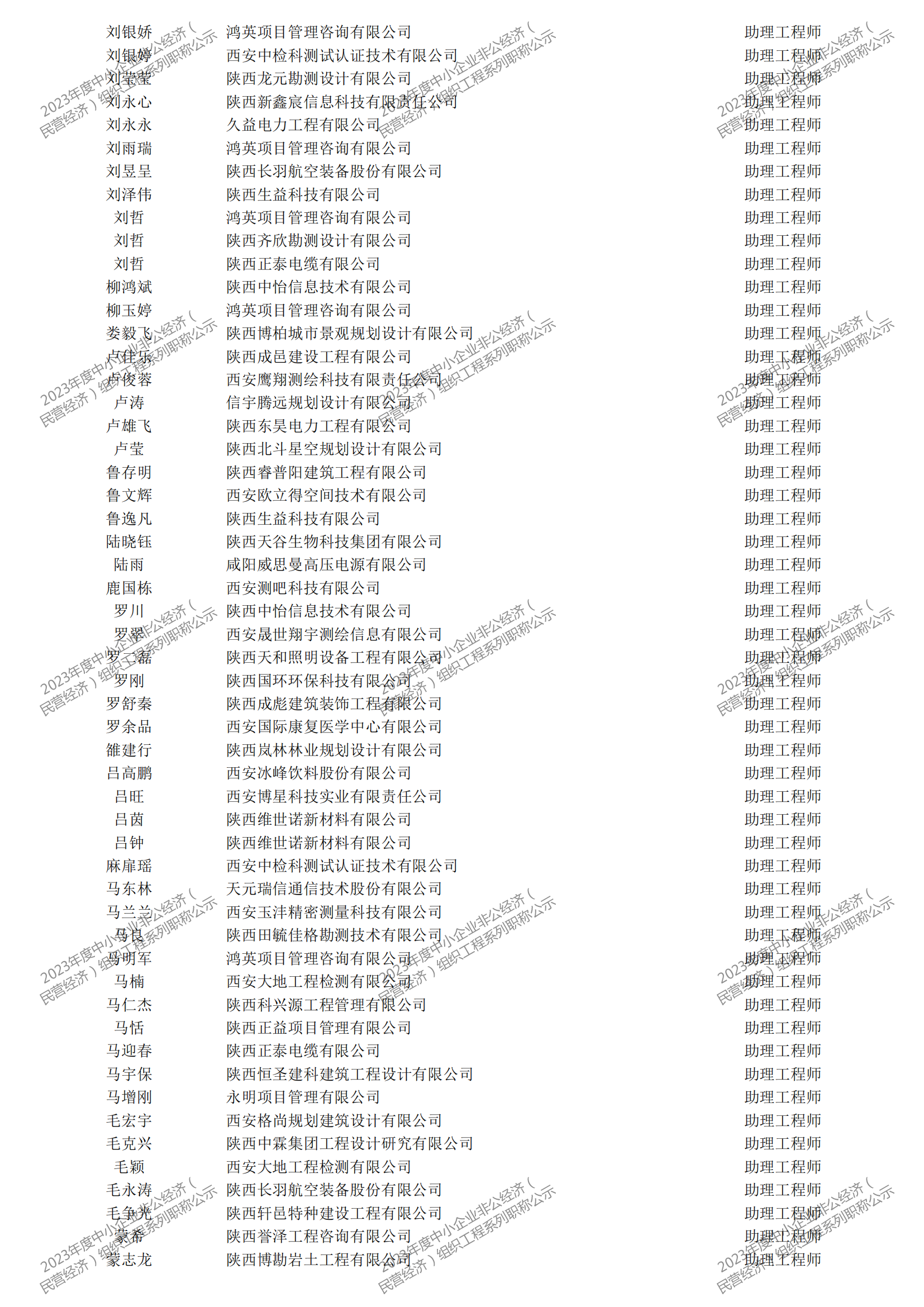 2023年度中小企業(yè)非公經(jīng)濟(jì)（民營經(jīng)濟(jì)）組織工程系列職稱評審公示_27.png